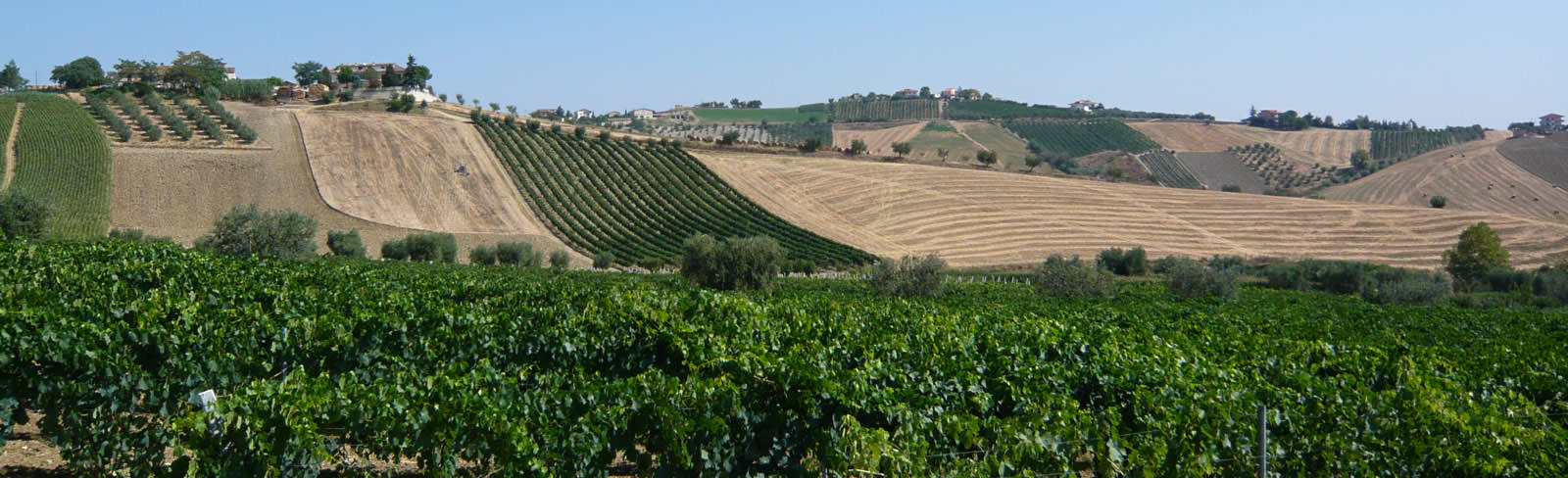 Agriturismo il Gheriglio - Val Vibrata - Abruzzo